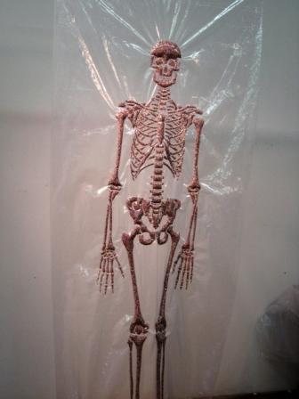 skeleton-web.jpg